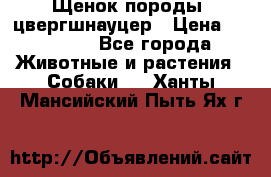 Щенок породы  цвергшнауцер › Цена ­ 30 000 - Все города Животные и растения » Собаки   . Ханты-Мансийский,Пыть-Ях г.